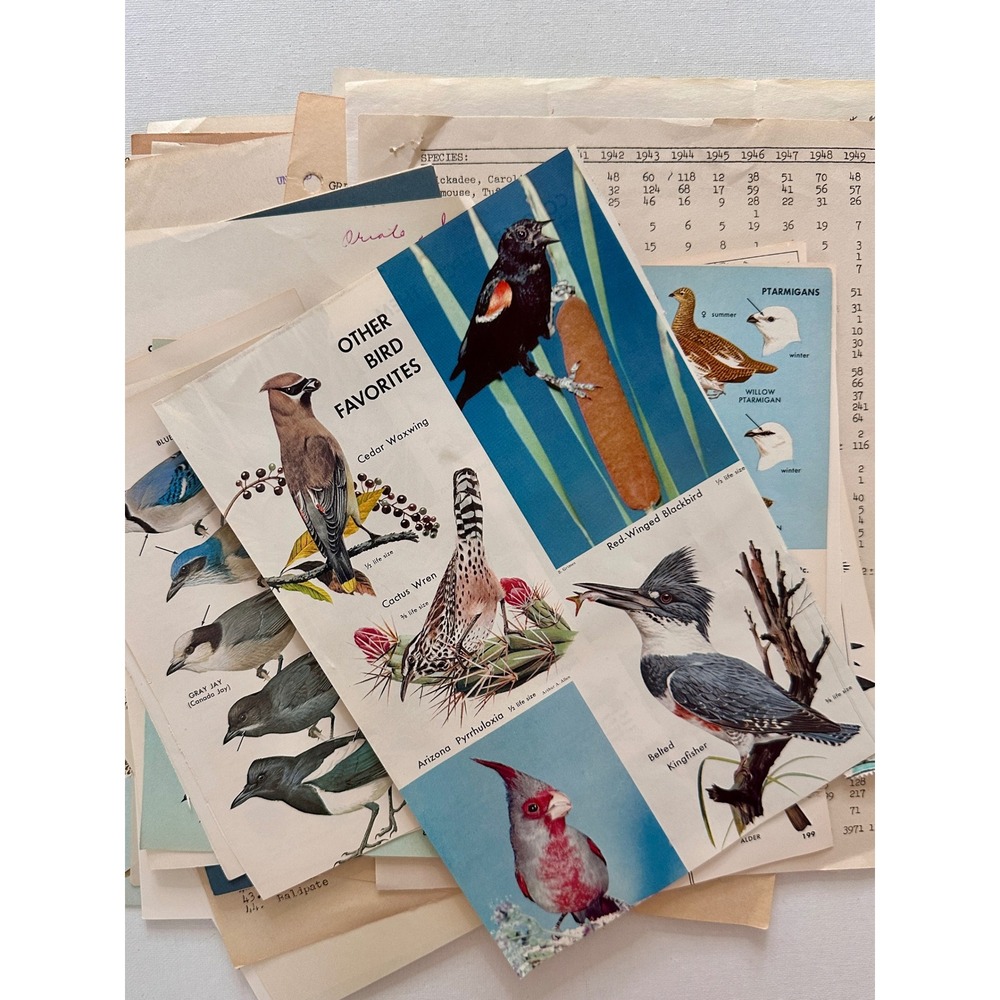 All Things Birds - Vintage Ephemeral Pack of 40 Pieces: stamps, postcard, pages - Picture 9 of 9